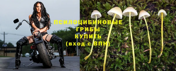 дмт Краснотурьинск