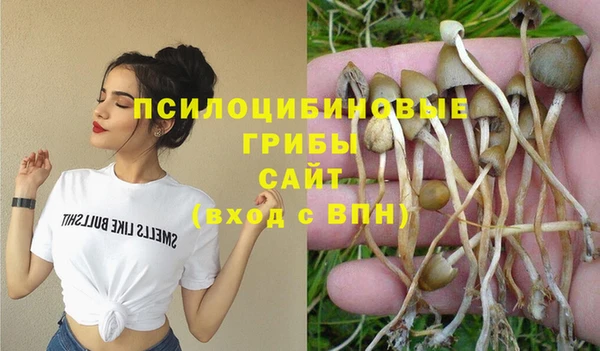 ГАЛЛЮЦИНОГЕННЫЕ ГРИБЫ Кукмор