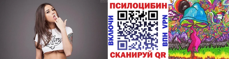 OMG ссылка сайты даркнета состав Галлюциногенные грибы Psilocybe Мамадыш